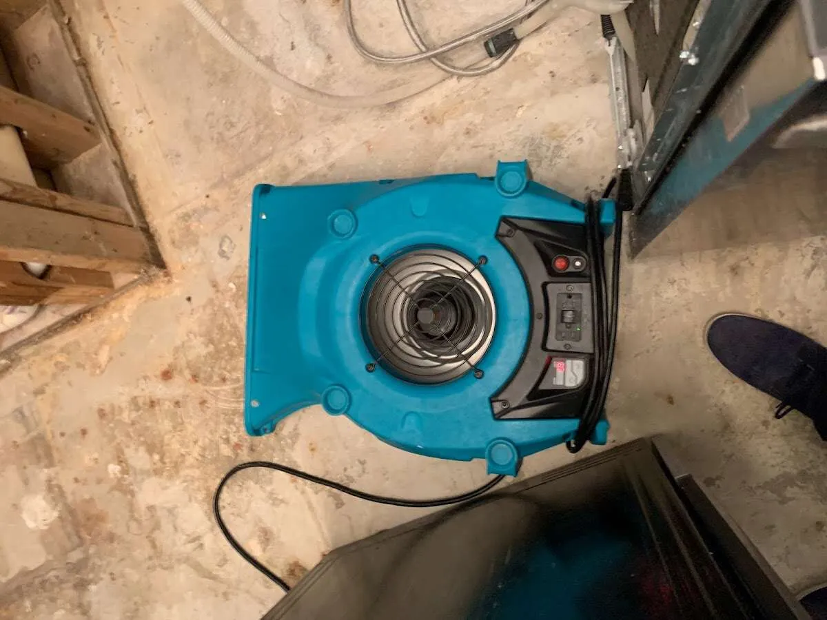 Air mover drying equipment for Mold Remediation & Removal in East Aurora